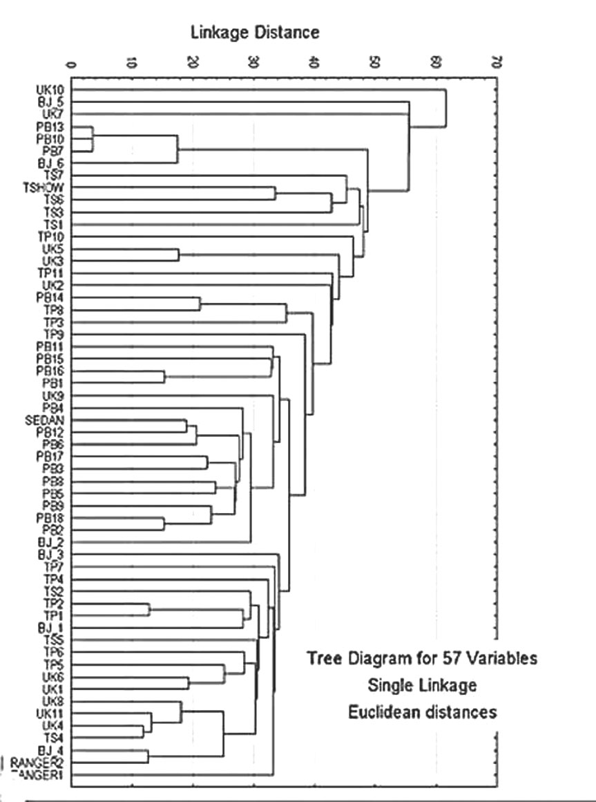 cluster analysis