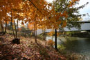 union covered bridge